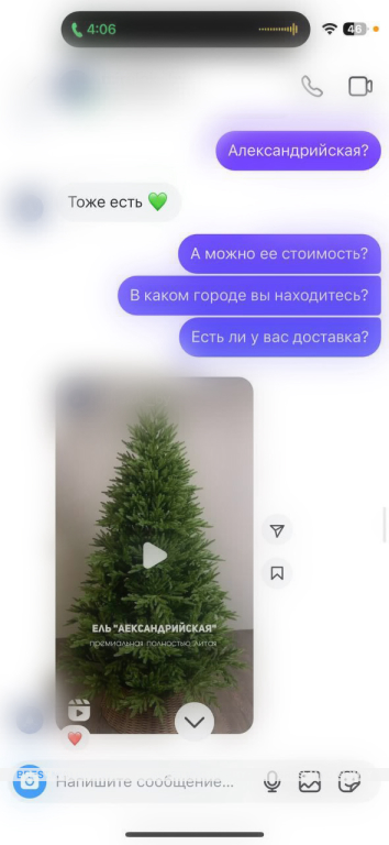 Как предновогодний ажиотаж стал ловушкой: история пинчанки, обманутой в соцсети