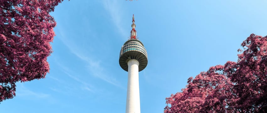 Южная Корея закручивает экспортные “гайки” России и Беларуси