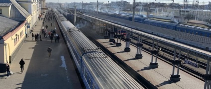 Как перевозить домашних животных в электричках и поездах? Рассказали в БЖД