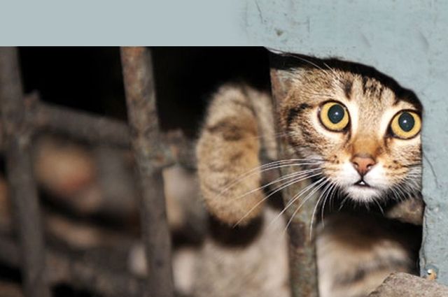 Фото из открытых источников (иллюстративное)