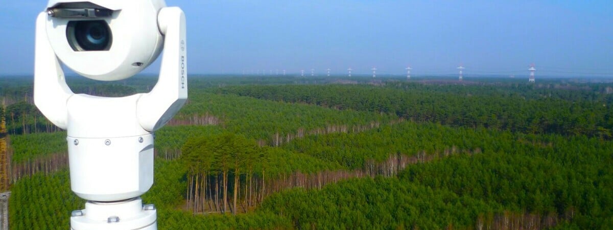 В Минлесхозе объявили о полном покрытии белорусских лесов видеонаблюдением. Зачем?