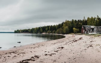 Эстония наложила ограничения на россиян, с которых ЕС снял санкции под давлением Венгрии