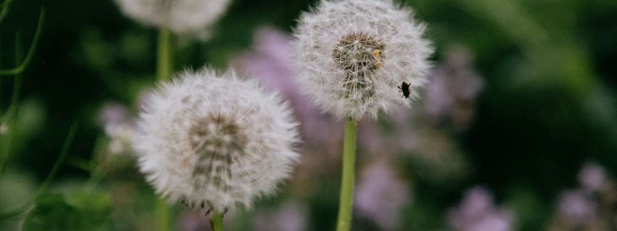 В Гомеле на 9 мая на площадь впервые выведут военную технику
