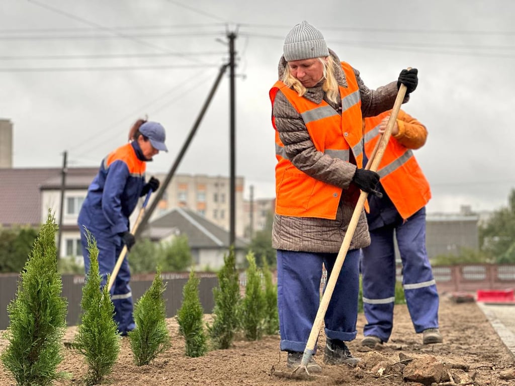 Брест становится зеленее: более 24 тысяч деревьев к концу 2024 года