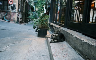 ДТП в Новополоцке: мотоцикл столкнулся с автомобилем