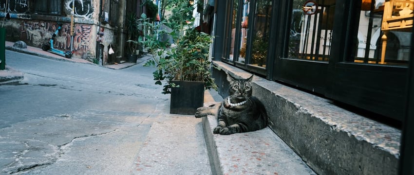 ДТП в Новополоцке: мотоцикл столкнулся с автомобилем