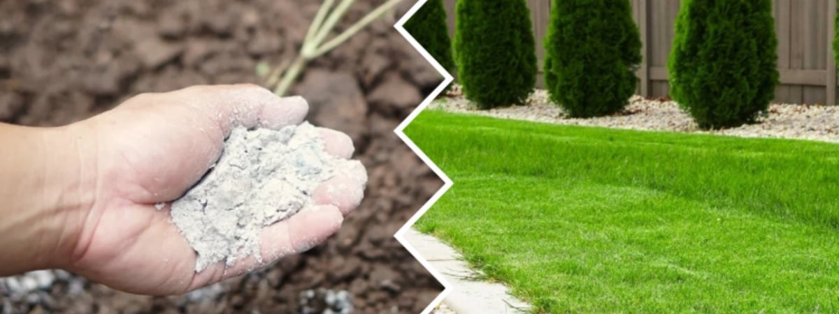 Посыпьте газон этим в феврале — и он отблагодарит красивой зеленью. Когда удобрение не нужно? — Полезно