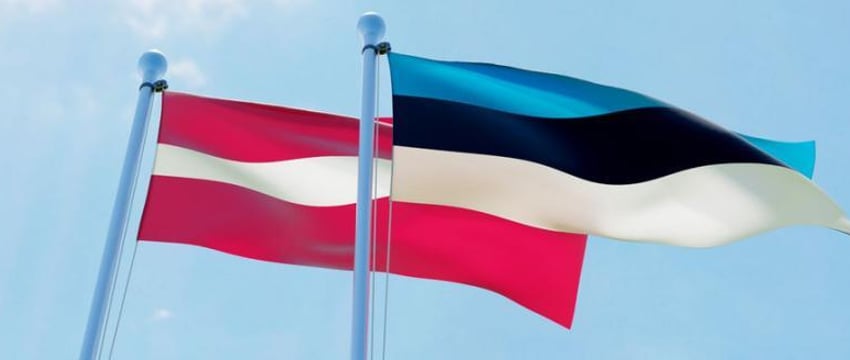 Евросоюз не даст денег на «дроновую» границу Литвы и Эстонии