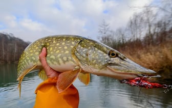 На что ловить щуку осенью? Вот где белорусам стоит искать «зубастую» в начале и конце сезона — Полезно