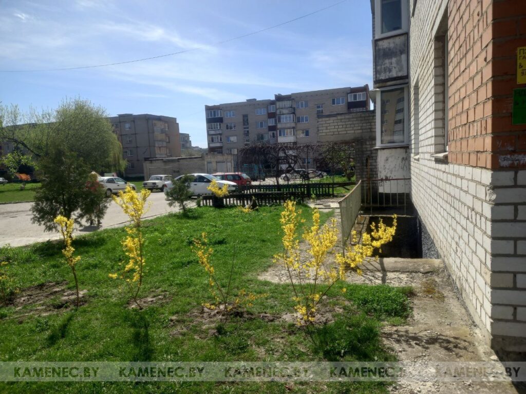 Плохой сон или шумные компании? Чем недовольна Каменчанка