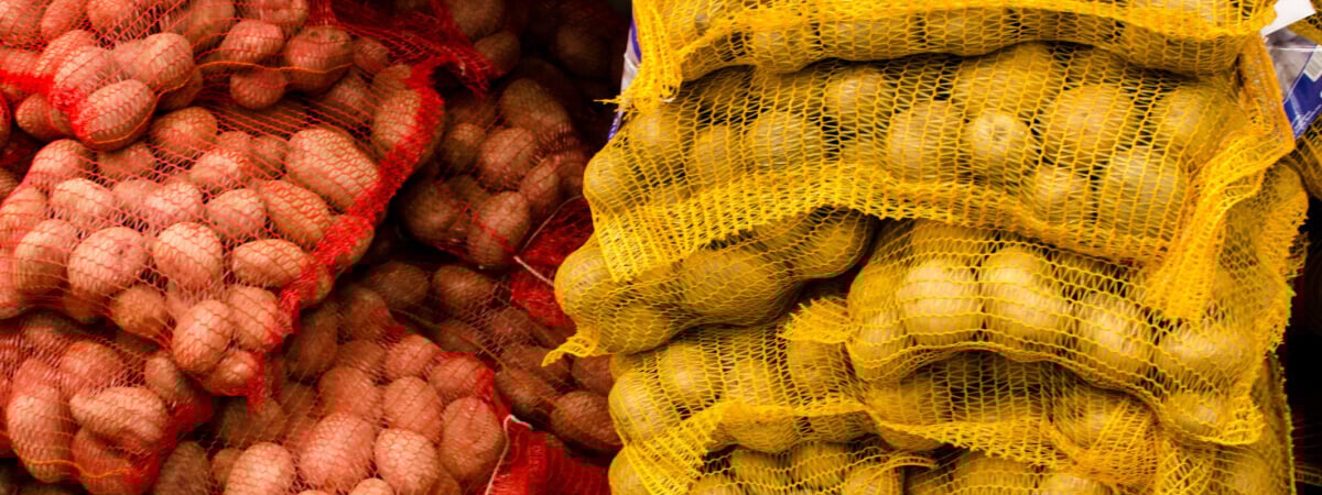 Совмин Беларуси ограничил свободный экспорт картофеля. Зачем и на какой срок?