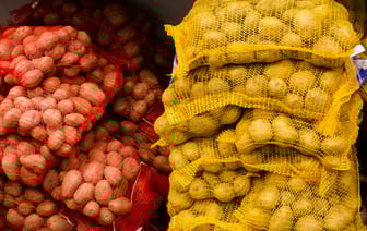 Совмин Беларуси ограничил свободный экспорт картофеля. Зачем и на какой срок?