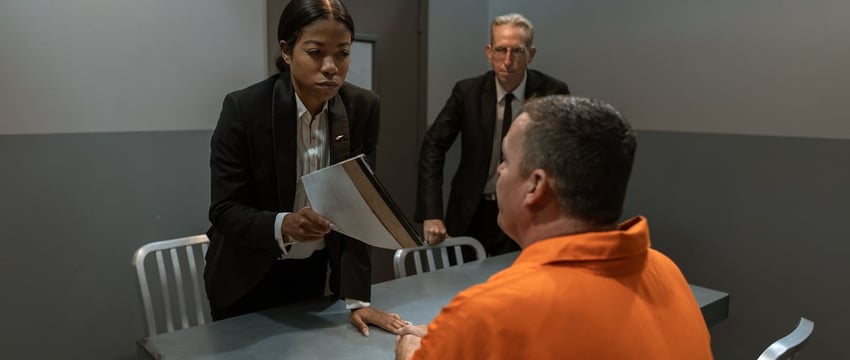 У жительницы Полоцка украли собаку. Похититель заработал уголовку