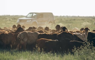 Volkswagen инвестирует $5 млрд в конкурента Tesla