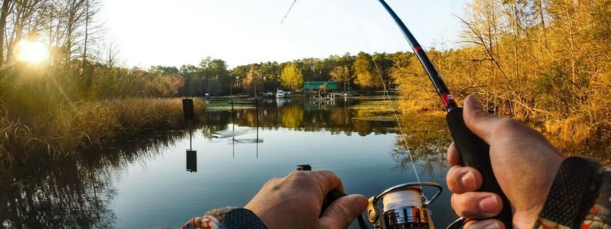 Какая рыба клюёт в сентябре? Вот 11 видов, на которые белорусам стоит готовить снасти — Полезно