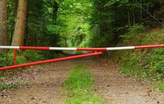 Ограничения на посещение лесов введены почти по всей Беларуси