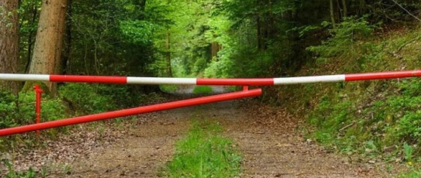 Ограничения на посещение лесов введены почти по всей Беларуси