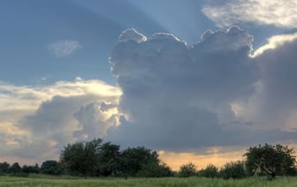 Обвинения в отсутствии дождя: жители деревни против садоводческого предприятия