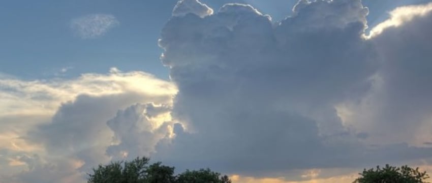 Обвинения в отсутствии дождя: жители деревни против садоводческого предприятия