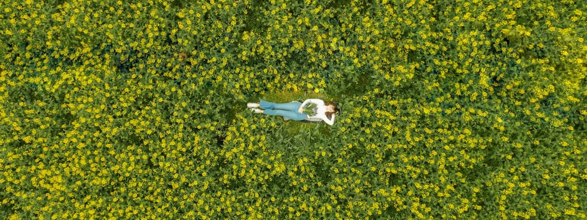 Минобороны РФ отчиталось о сбитии за ночь 28 беспилотников