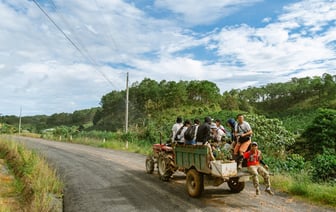 Более 400 мигрантов за трое суток пробовали попасть в Польшу из Беларуси