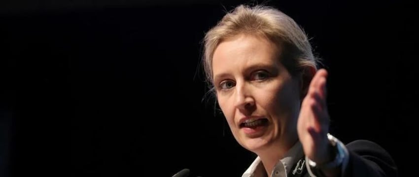 Член Бундестага Вайдель обвинила Шольца в уничтожении Германии