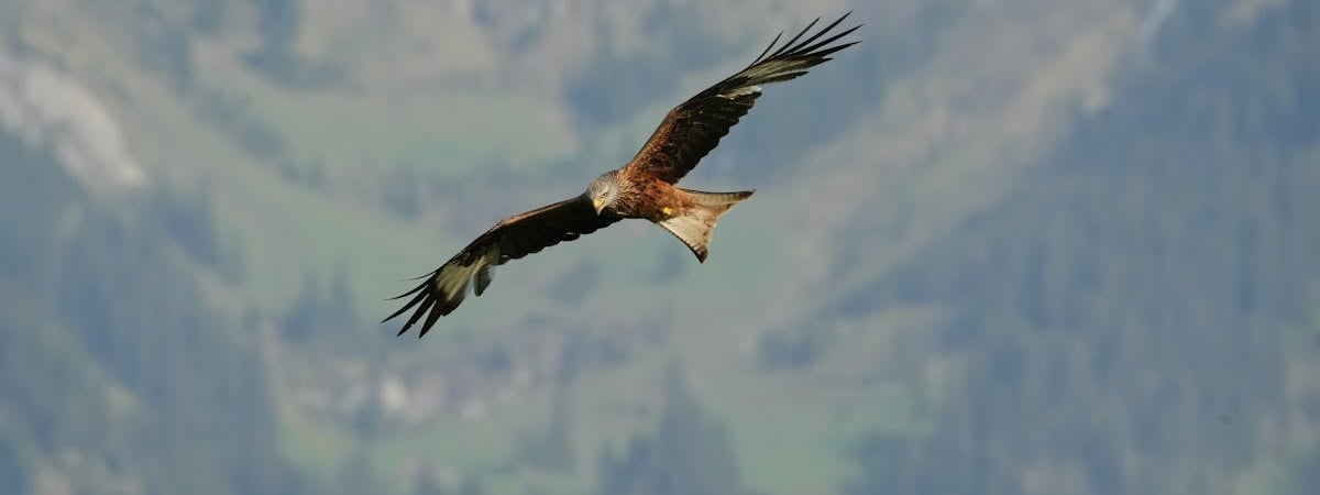 В Грузии прошла новая масштабная акция протеста против закона об «иноагентах»