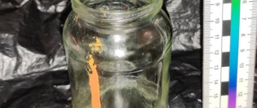 В Беларуси женщина пила алкоголь и заодно проглотила средство от колорадского жука. Она умерла