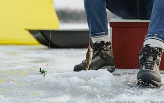 Запрет на лов рыбы на зимовальных ямах. Где они находятся и что за это грозит?