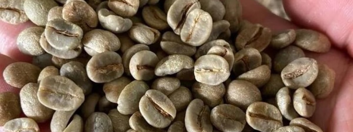 Беларус открыл в Варшаве бизнес по обжарке кофе и нашел чем удивить поляков