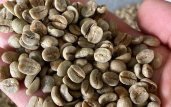 Беларус открыл в Варшаве бизнес по обжарке кофе и нашел чем удивить поляков