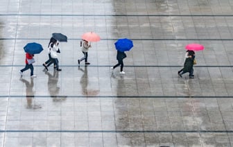 Впервые за три с половиной недели в Витебске выпал дождь