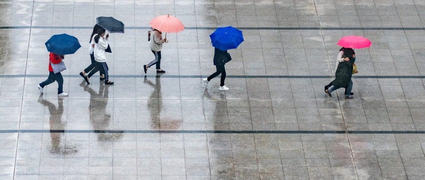 Впервые за три с половиной недели в Витебске выпал дождь