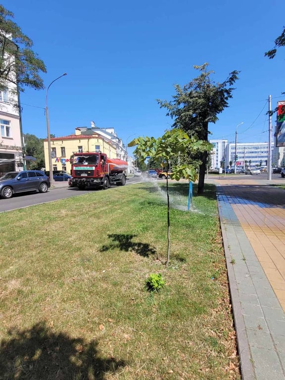 В Брест пришла жара. Городские службы помогают пережить зной