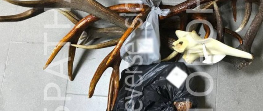 Чем обернулось для брестчанина новое знакомство