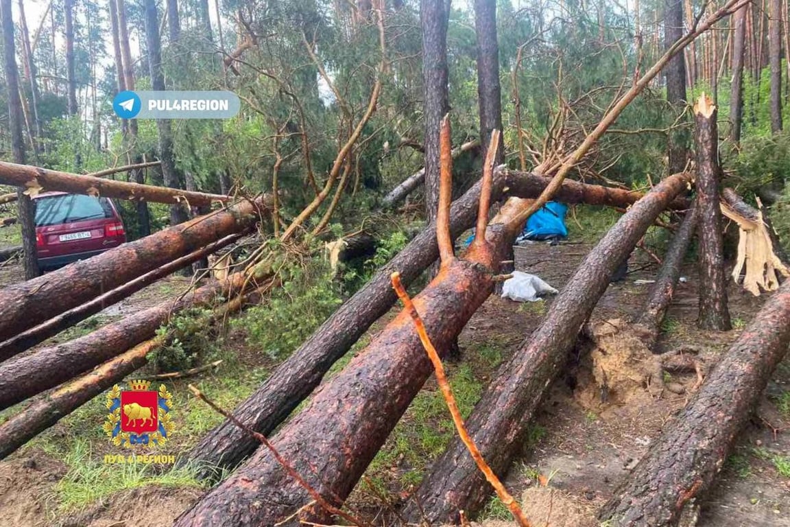 В Беларуси в результате падения дерева из-за сильного ветра погибла женщина