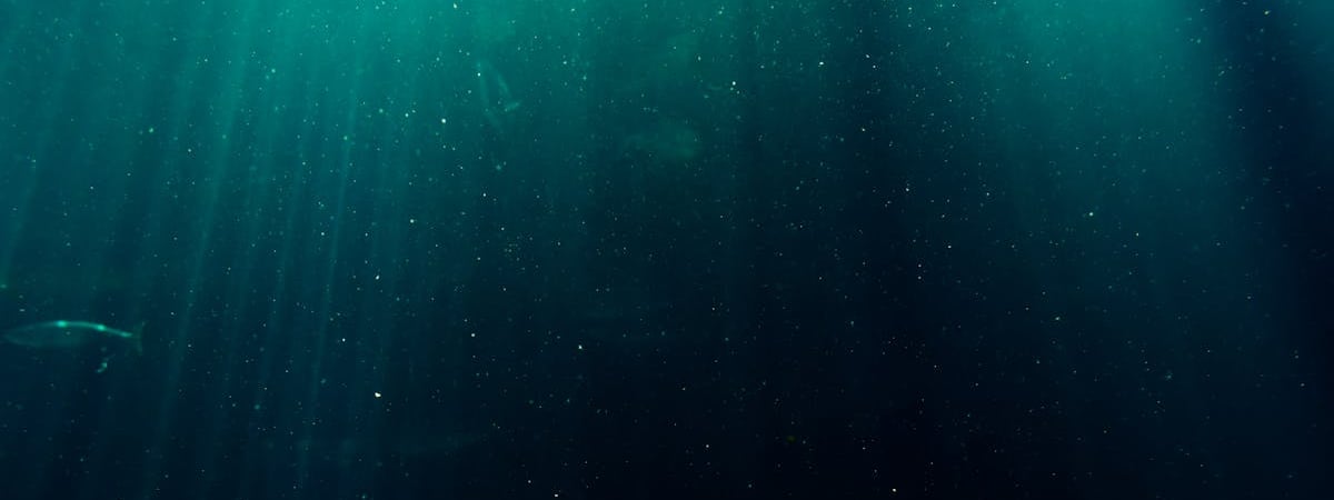 Атомная подводная лодка ВМС США с крылатыми ракетами на борту прибыла в Южную Корею