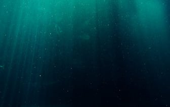 Атомная подводная лодка ВМС США с крылатыми ракетами на борту прибыла в Южную Корею