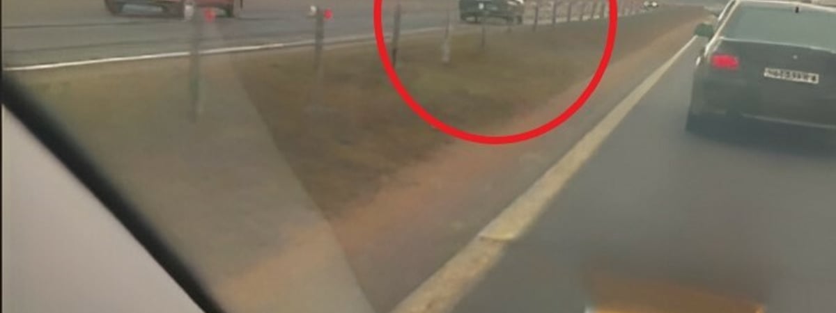 «Хоть бы задом ехал» — В TikTok опубликовали видео из-под Минска с водителем, «из-за которого погибают люди» — Видео