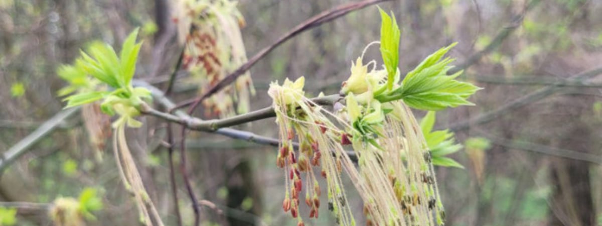 Какой погоды ждать на наступившей неделе?