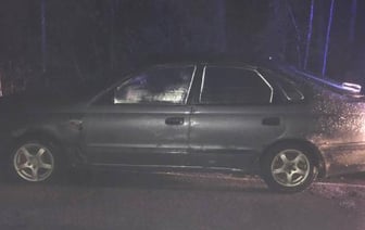 Чтобы задержать пьяного бесправника, ГАИ применила оружие в Вилейском районе