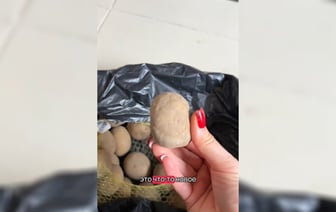 «Это новый сорт» — Минчанка пожаловалась на камни в сетке картошки из магазина. Кого обвинили в TikTok? — Видео