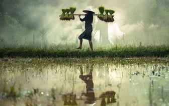 C 1 февраля изменится бюджет прожиточного минимума. Его рассчитали по новой формуле