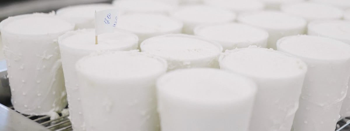 Цены на промпродукцию в Минске за 2024 год увеличились на 7,2%