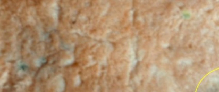 Березовчанину продали испорченный хлеб