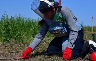 Резкая критика плана Украины по разминированию