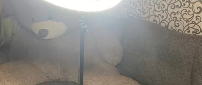 Жительница Брестской области снимала фото и видео со своим участием, затем продавала их