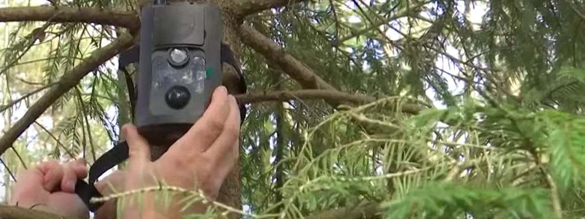 У белорусских рек решили установить фотоловушки и организовать рейды. За что пригрозили штрафом в 1200 BYN? — Полезно