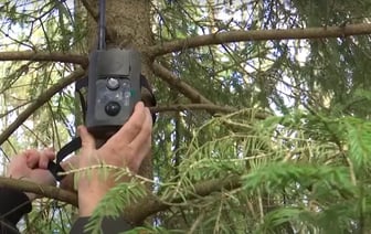 У белорусских рек решили установить фотоловушки и организовать рейды. За что пригрозили штрафом в 1200 BYN? — Полезно