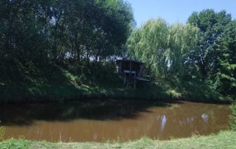 В Пинском районе мужчина утонул в пруду